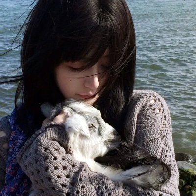 直言真相第三季